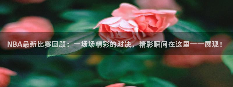 NBA最新比赛回顾：一场场精彩的对决，精彩瞬间在这里一一展现！