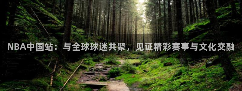 NBA中国站：与全球球迷共聚，见证精彩赛事与文化交融