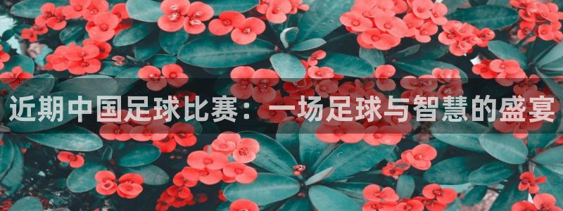 近期中国足球比赛：一场足球与智慧的盛宴