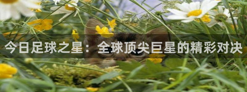 今日足球之星：全球顶尖巨星的精彩对决