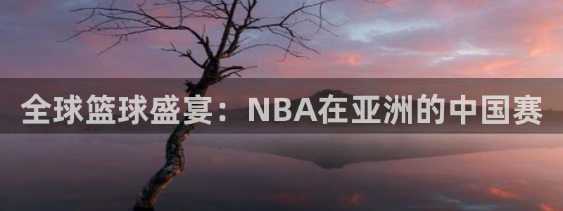全球篮球盛宴：NBA在亚洲的中国赛