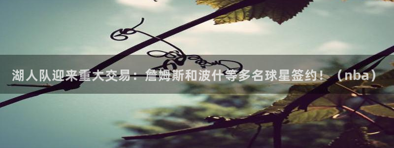 湖人队迎来重大交易：詹姆斯和波什等多名球星签约！（nba）