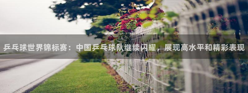 乒乓球世界锦标赛：中国乒乓球队继续闪耀，展现高水平和精彩表现