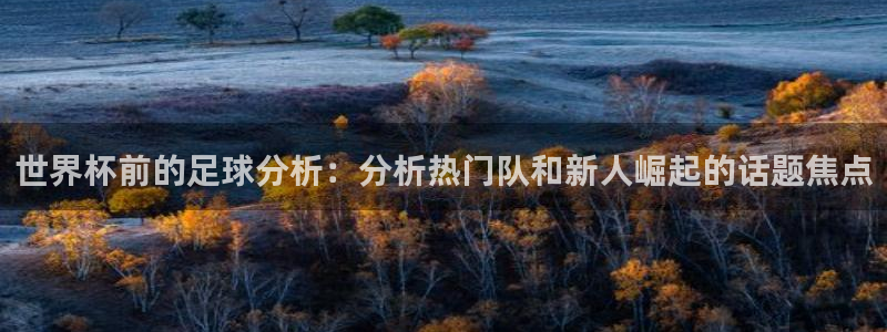 世界杯前的足球分析：分析热门队和新人崛起的话题焦点