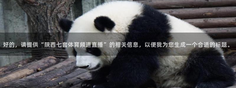 好的，请提供“陕西七套体育频道直播”的相关信息，以便我为您生成一个合适的标题。