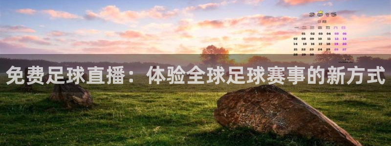 免费足球直播：体验全球足球赛事的新方式
