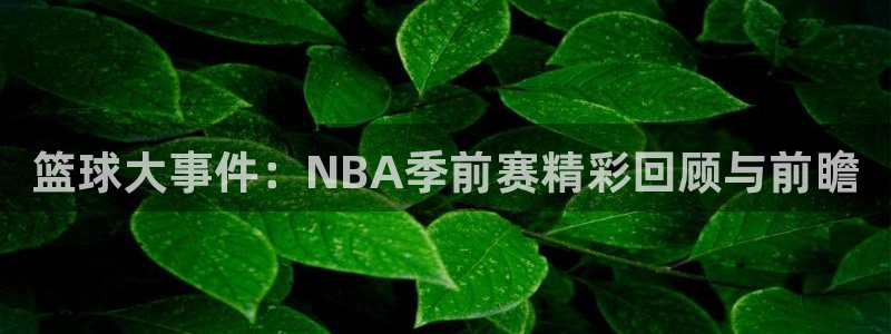 篮球大事件：NBA季前赛精彩回顾与前瞻