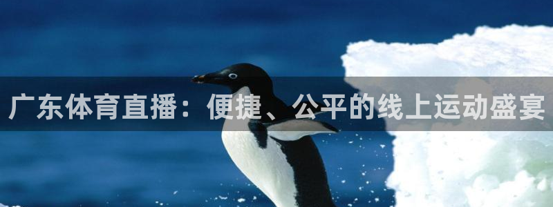 广东体育直播：便捷、公平的线上运动盛宴