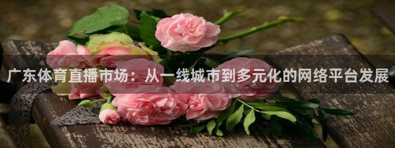 广东体育直播市场：从一线城市到多元化的网络平台发展