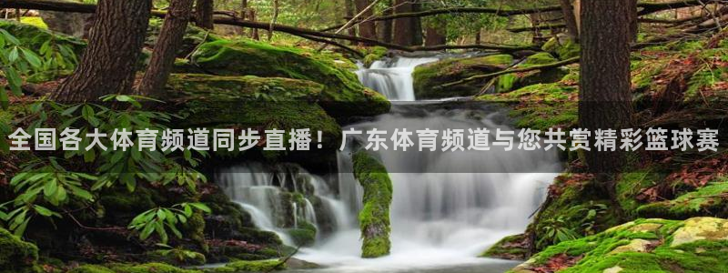 全国各大体育频道同步直播！广东体育频道与您共赏精彩篮球赛