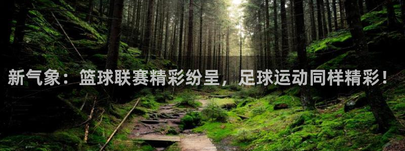 新气象：篮球联赛精彩纷呈，足球运动同样精彩！