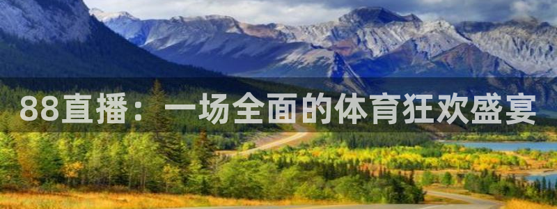 88直播：一场全面的体育狂欢盛宴