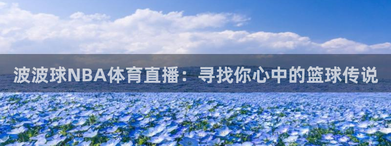 波波球NBA体育直播：寻找你心中的篮球传说