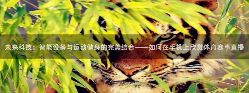 未来科技：智能设备与运动健身的完美结合——如何在手机上欣赏体育赛事直播