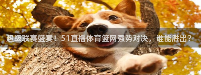 超级联赛盛宴！51直播体育篮网强势对决，谁能胜出？