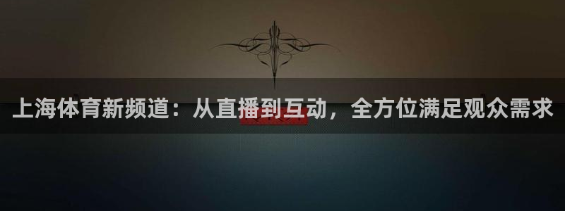 上海体育新频道：从直播到互动，全方位满足观众需求