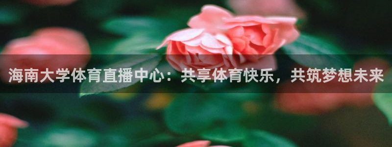 海南大学体育直播中心：共享体育快乐，共筑梦想未来