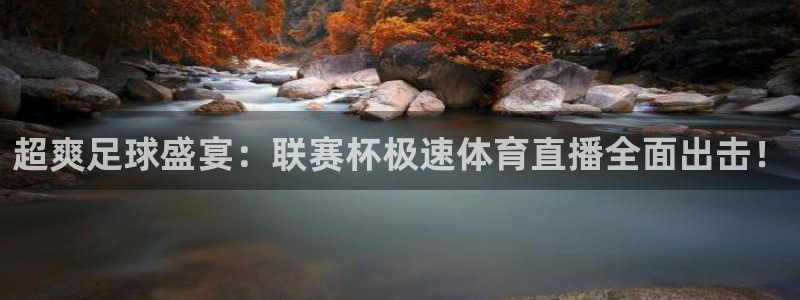 超爽足球盛宴：联赛杯极速体育直播全面出击！