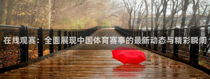 在线观赛：全面展现中国体育赛事的最新动态与精彩瞬间