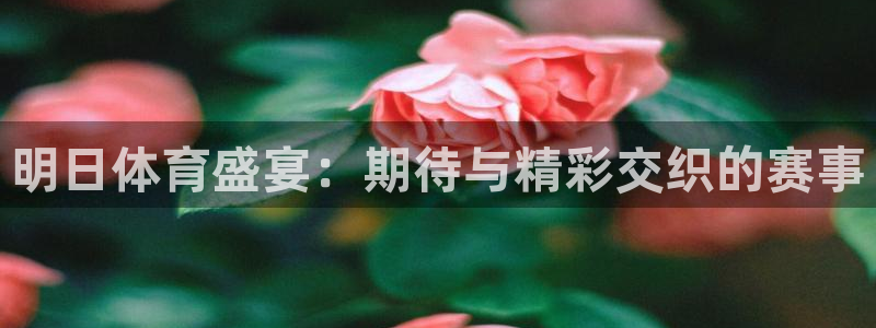 明日体育盛宴：期待与精彩交织的赛事