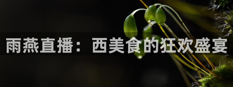 雨燕直播：西美食的狂欢盛宴
