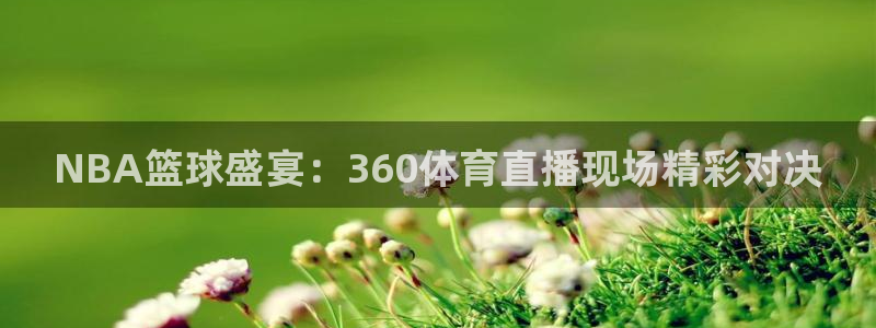NBA篮球盛宴：360体育直播现场精彩对决