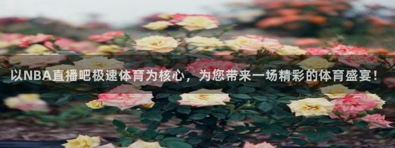 以NBA直播吧极速体育为核心，为您带来一场精彩的体育盛宴！