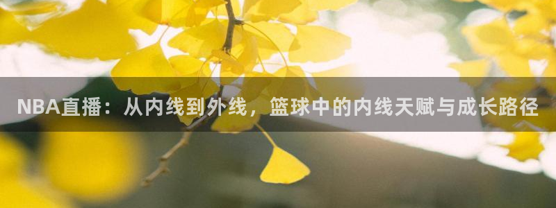 NBA直播：从内线到外线，篮球中的内线天赋与成长路径