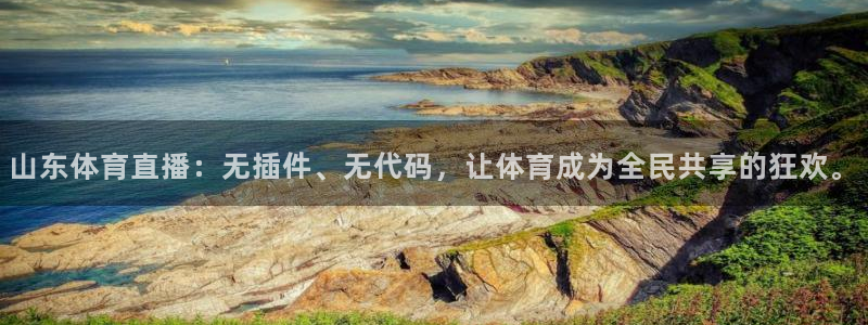 山东体育直播：无插件、无代码，让体育成为全民共享的狂欢。