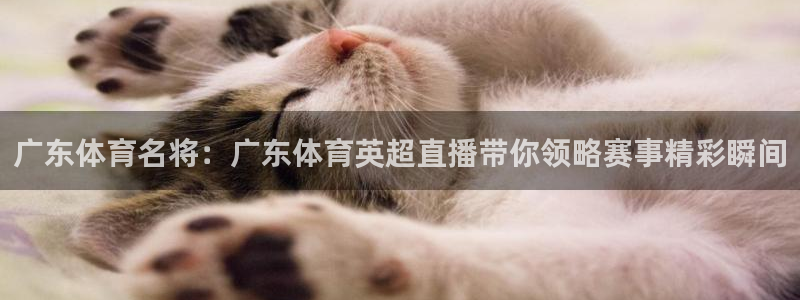广东体育名将：广东体育英超直播带你领略赛事精彩瞬间