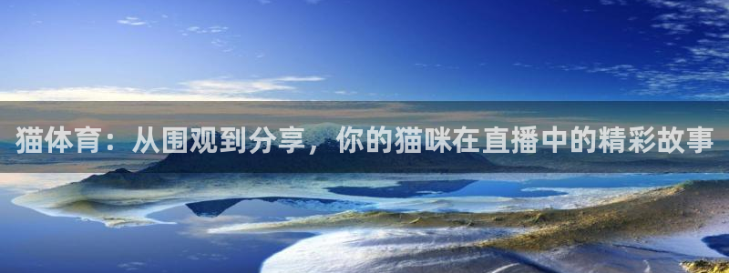 猫体育：从围观到分享，你的猫咪在直播中的精彩故事