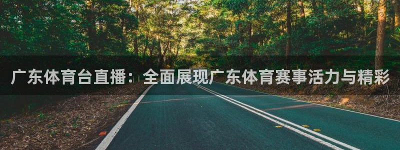 广东体育台直播：全面展现广东体育赛事活力与精彩