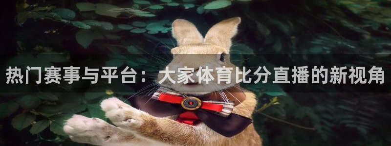 热门赛事与平台：大家体育比分直播的新视角