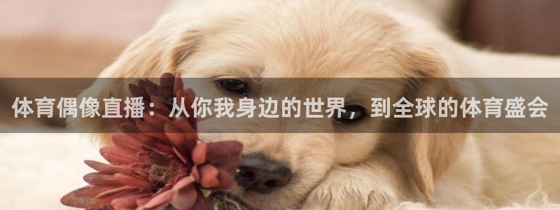 体育偶像直播：从你我身边的世界，到全球的体育盛会