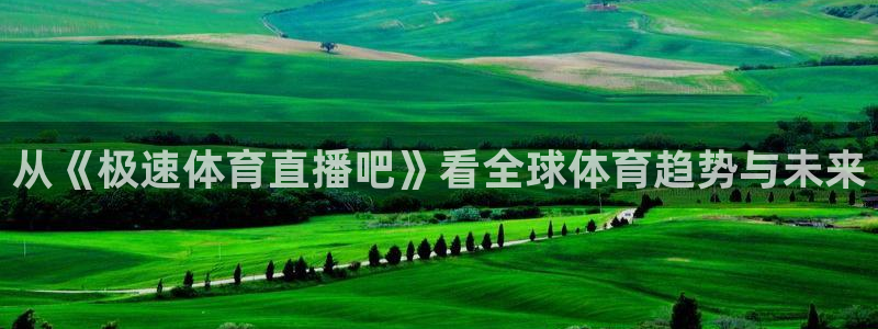 从《极速体育直播吧》看全球体育趋势与未来