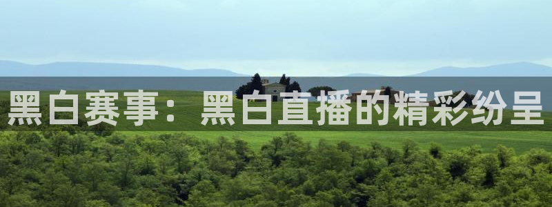 黑白赛事：黑白直播的精彩纷呈