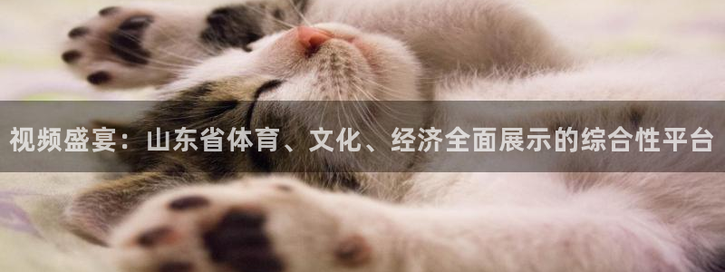 视频盛宴：山东省体育、文化、经济全面展示的综合性平台