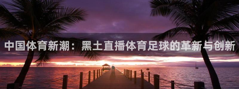 中国体育新潮：黑土直播体育足球的革新与创新