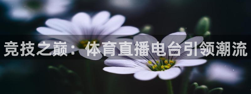竞技之巅：体育直播电台引领潮流