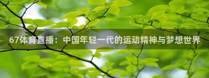 67体育直播：中国年轻一代的运动精神与梦想世界