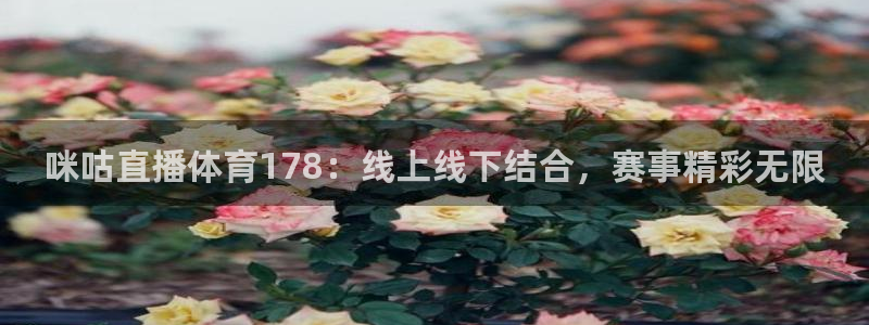 咪咕直播体育178：线上线下结合，赛事精彩无限