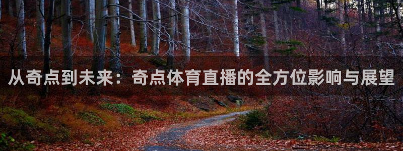 从奇点到未来：奇点体育直播的全方位影响与展望